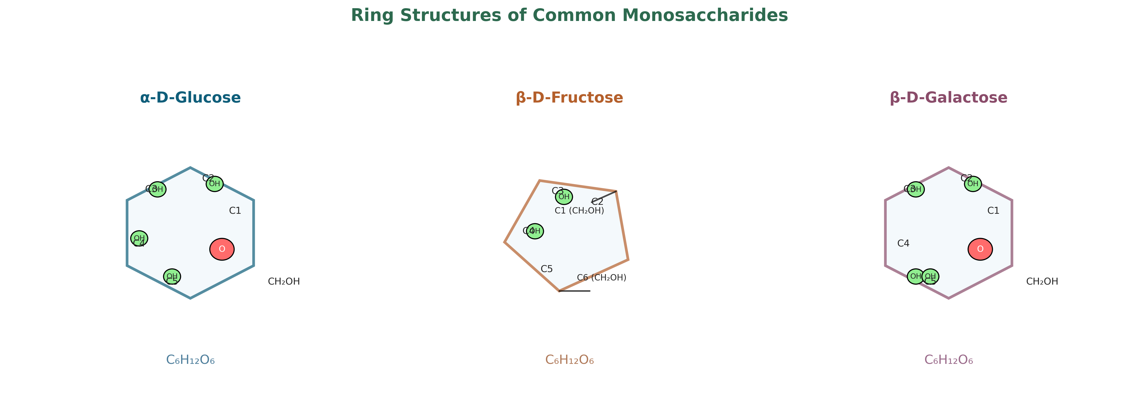 Sugar ring structures