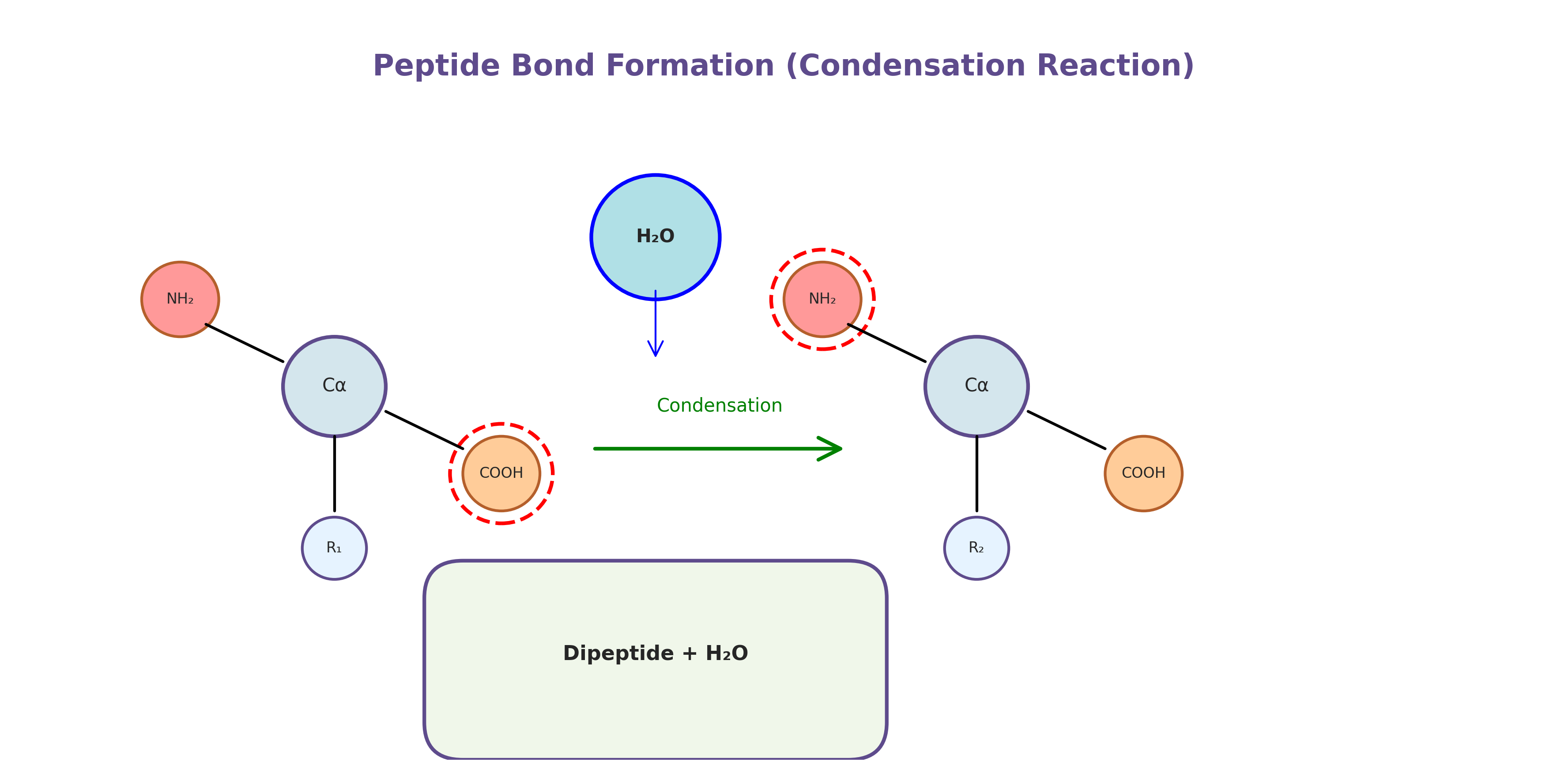 Peptide bond formation