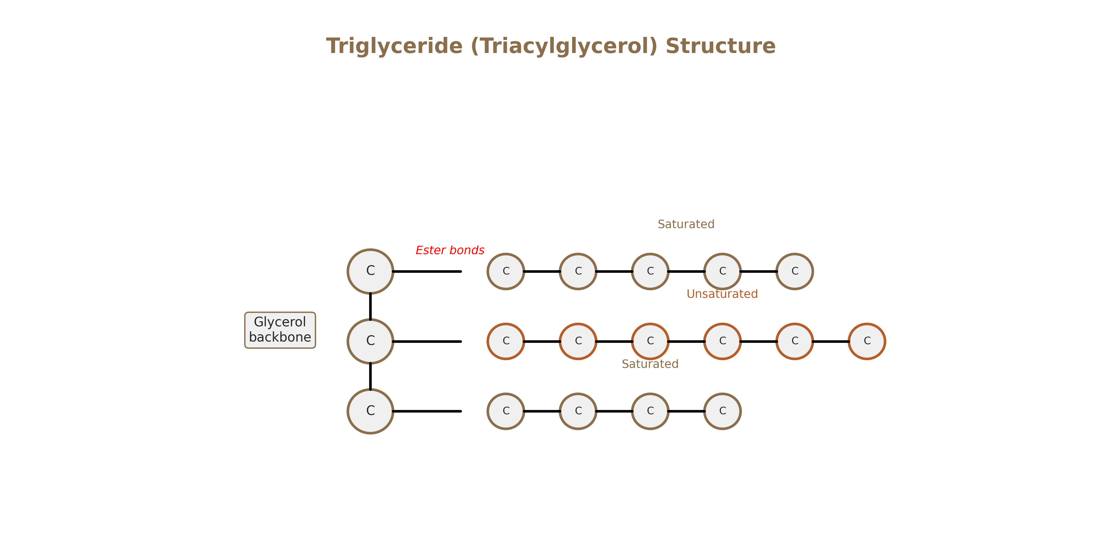 Triglyceride structure