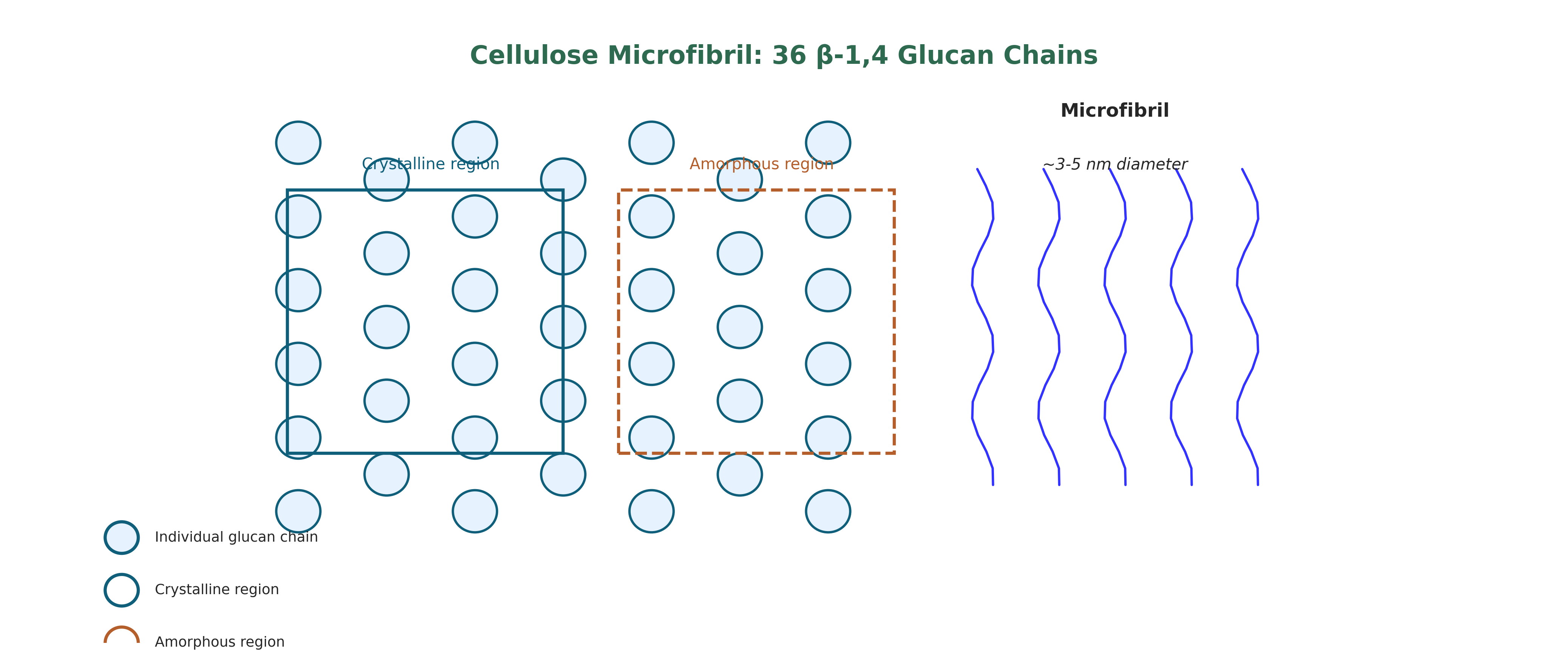 Cellulose microfibril