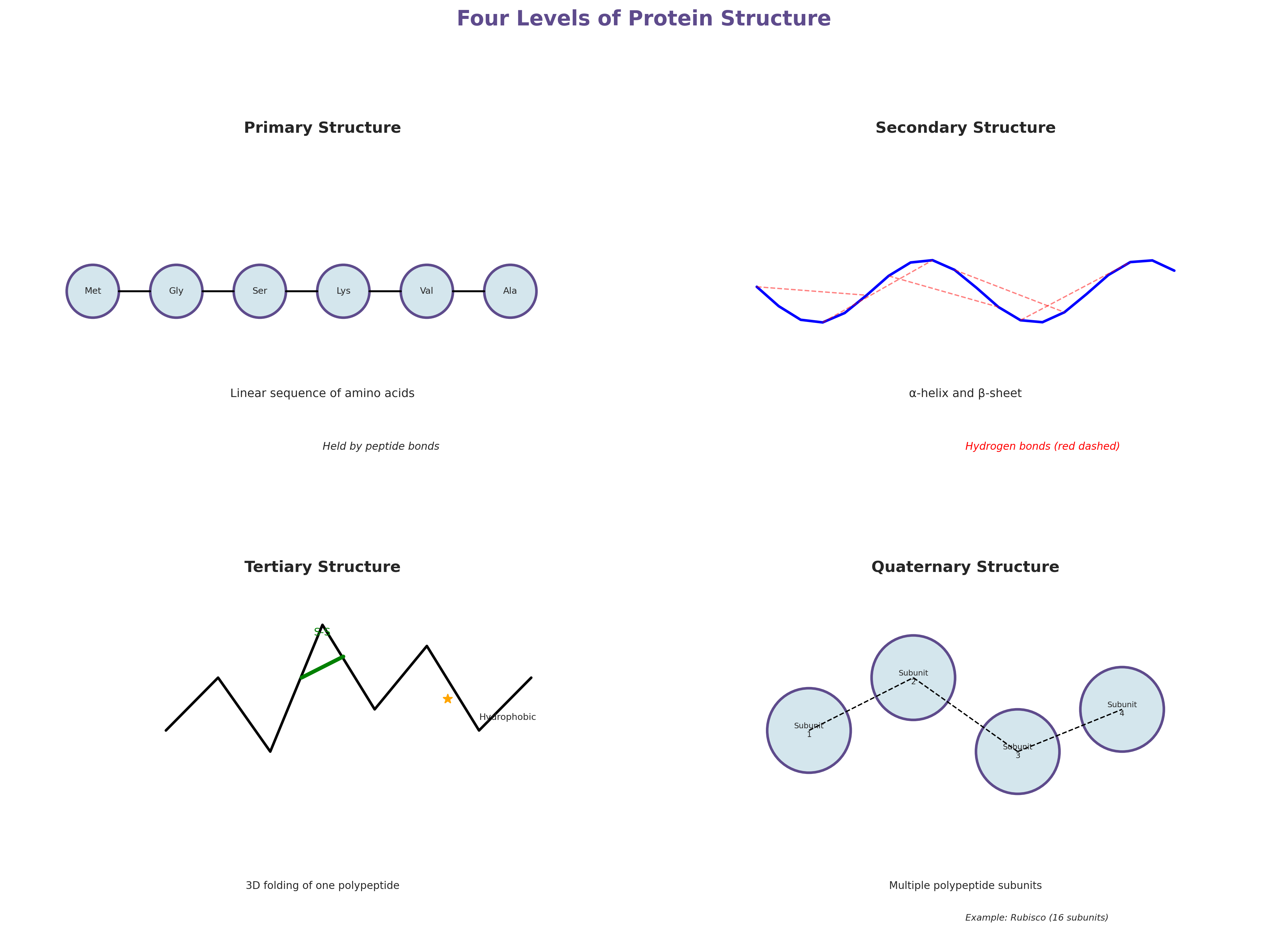 Protein structure levels