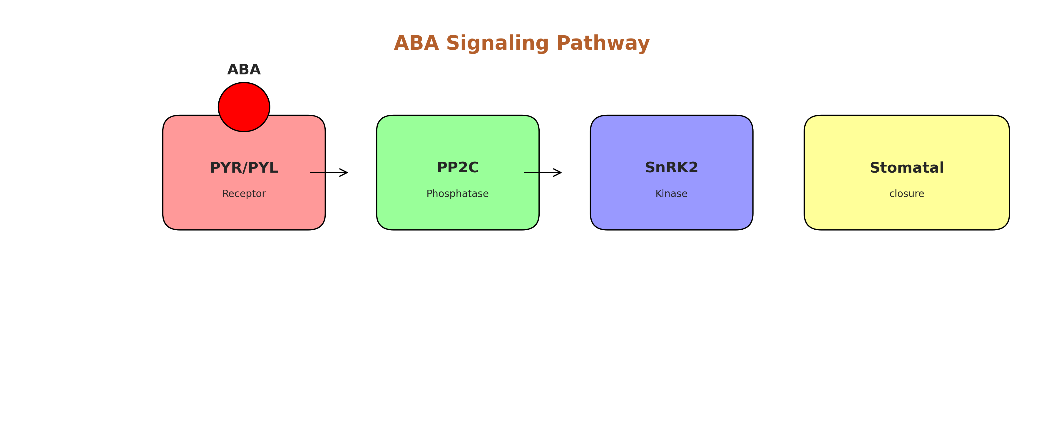 ABA signaling