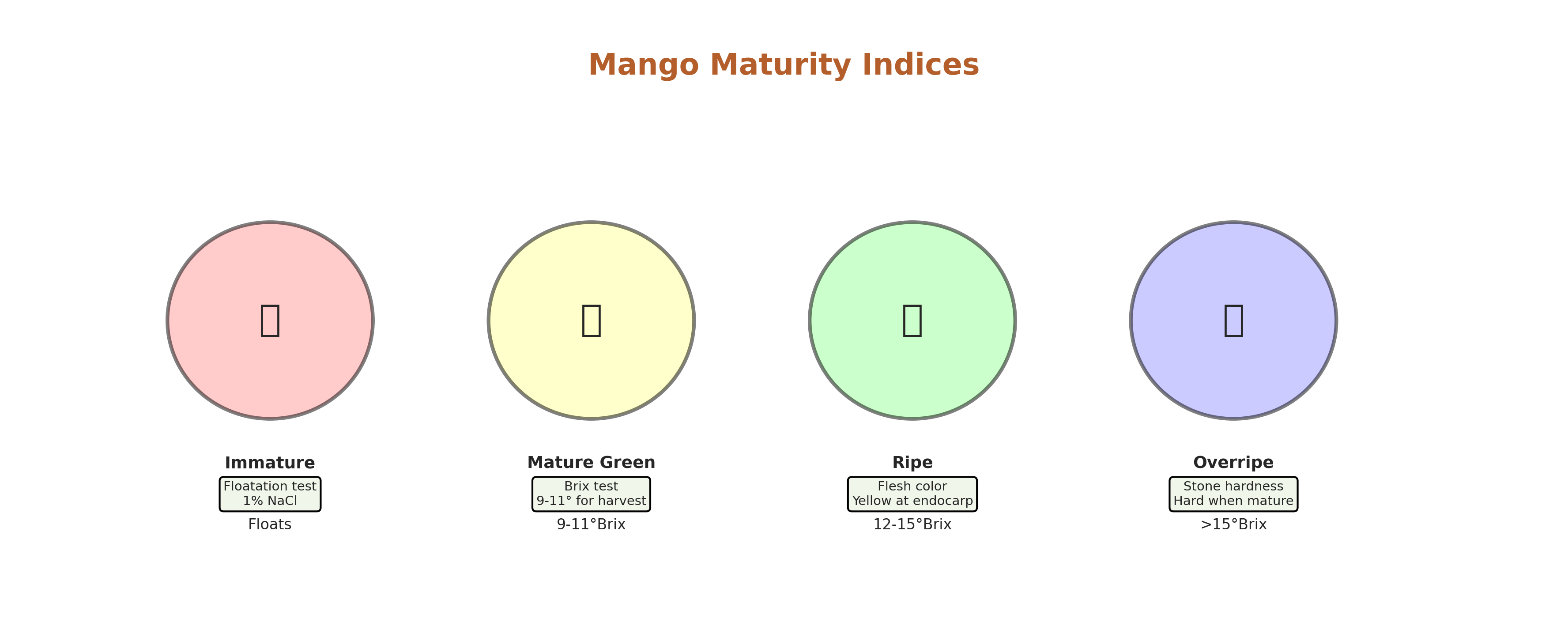 Mango maturity indices