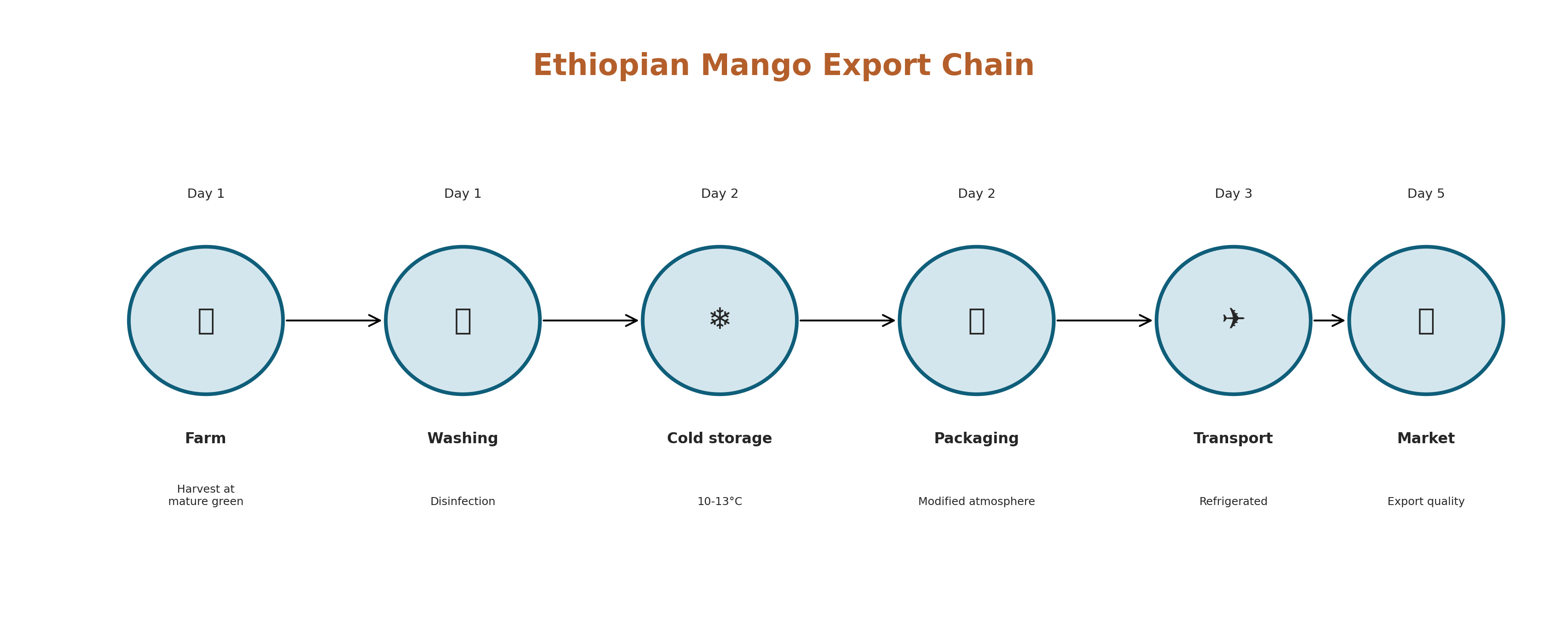 Mango export chain