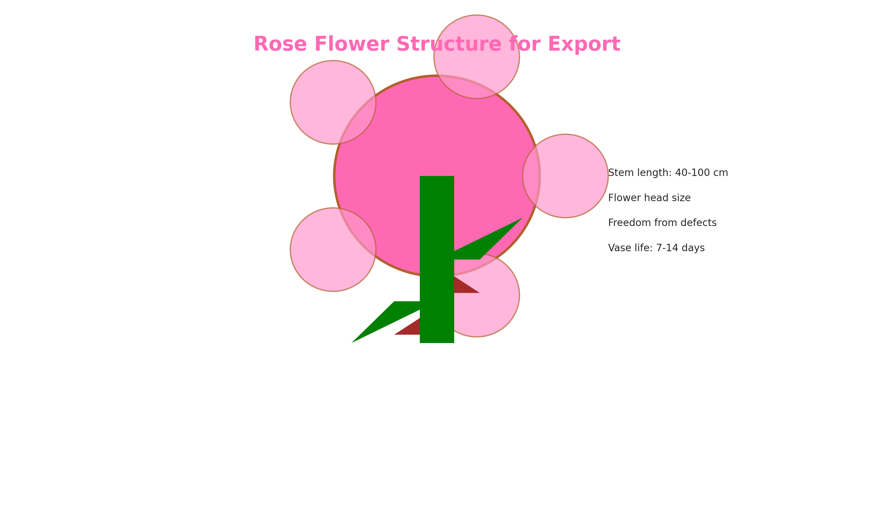 Rose flower structure